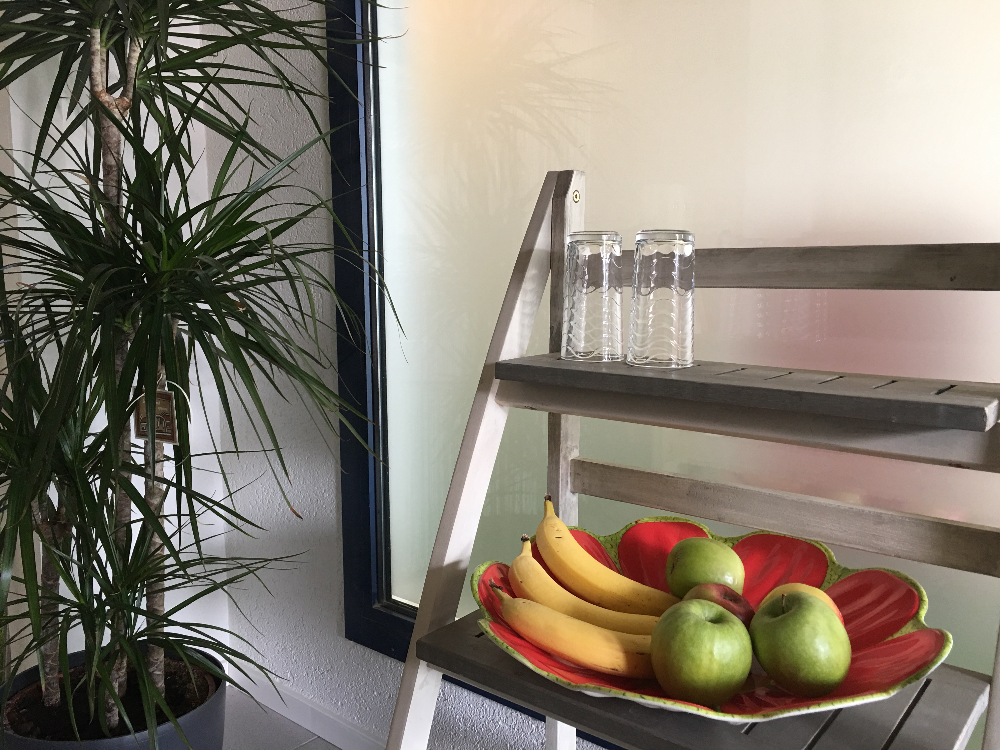 Water en fruit bij Het gezonde huis